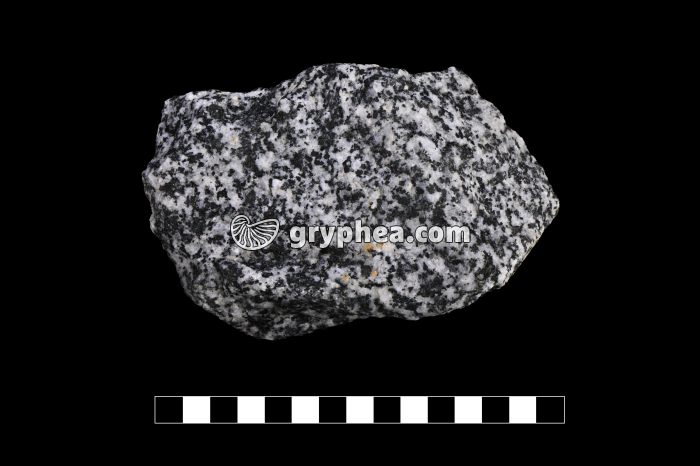 Gabbro  - gryphea.com